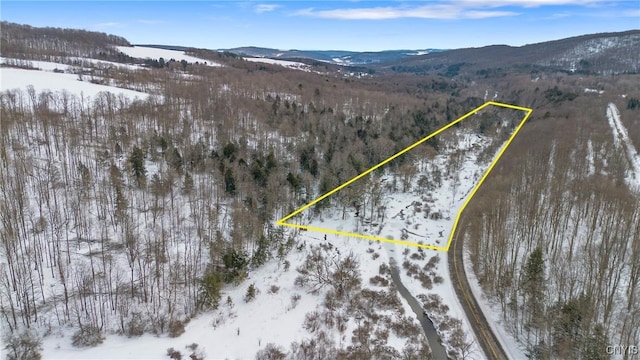 6346 Cold Brook Rd, Scott, NY 13077
