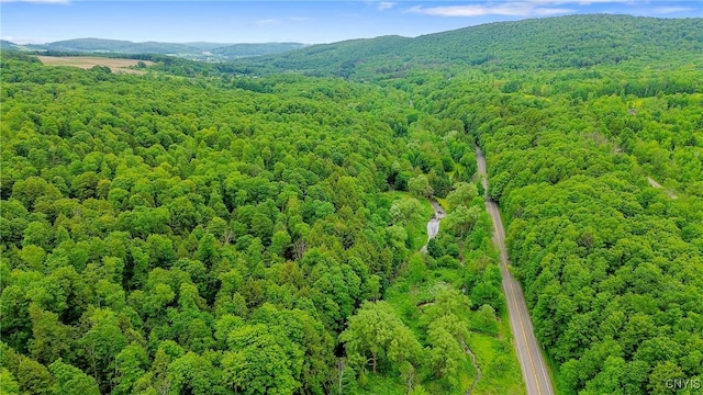 6346 Cold Brook Rd, Scott, NY 13077