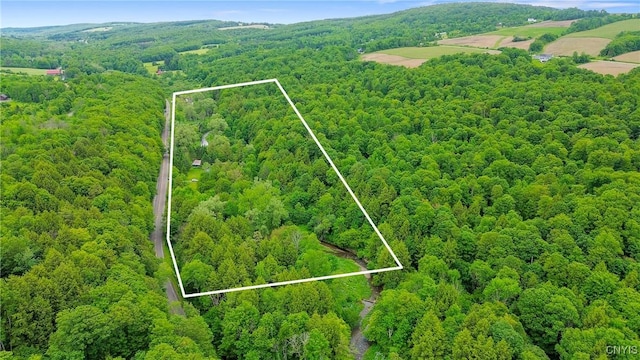 6346 Cold Brook Rd, Scott, NY 13077
