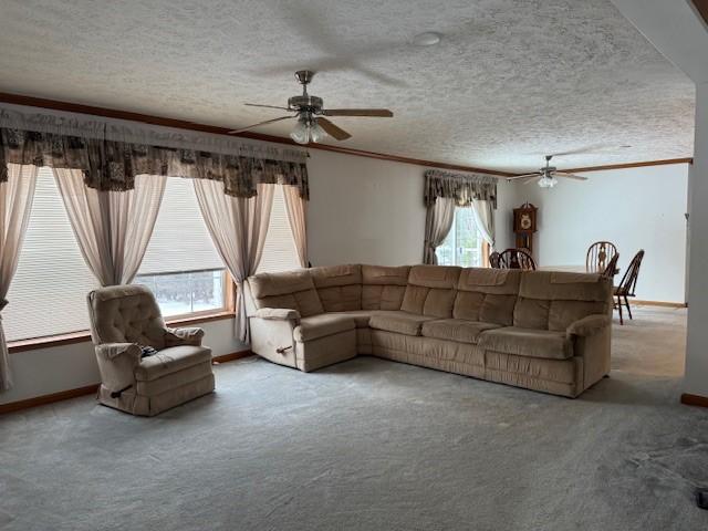 living room with ornamental molding, a textured ceiling, and carpet flooring