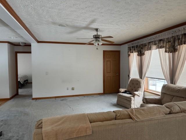 2725 Miller Rd, Wellsville, NY 14895 - photo 8