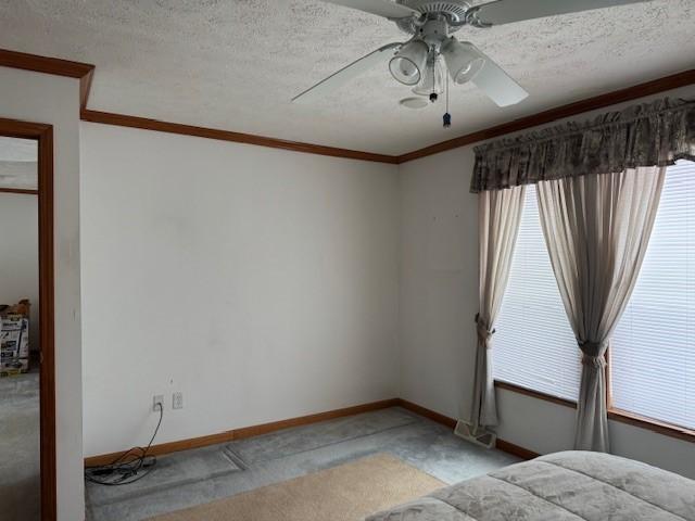 2725 Miller Rd, Wellsville, NY 14895 - photo 15