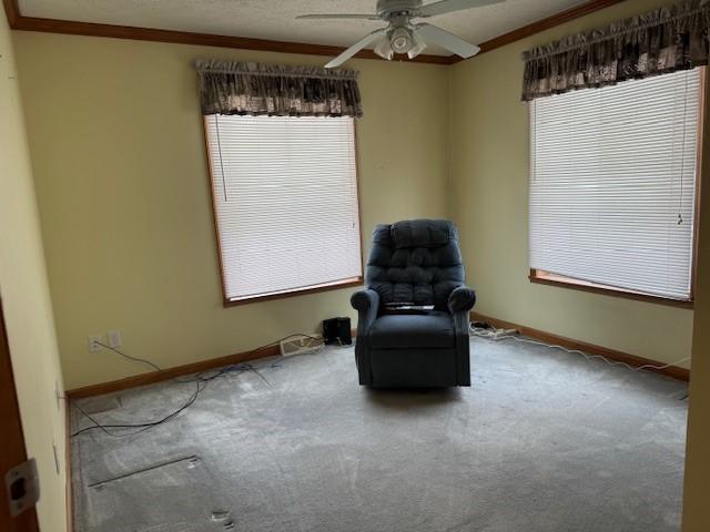 2725 Miller Rd, Wellsville, NY 14895 - photo 19