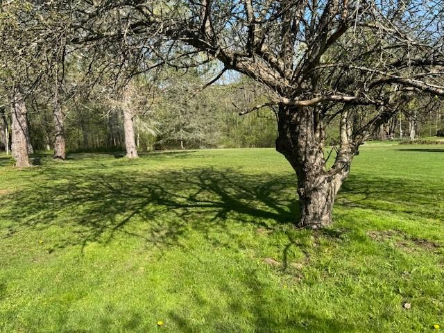 2725 Miller Rd, Wellsville, NY 14895 - photo 34