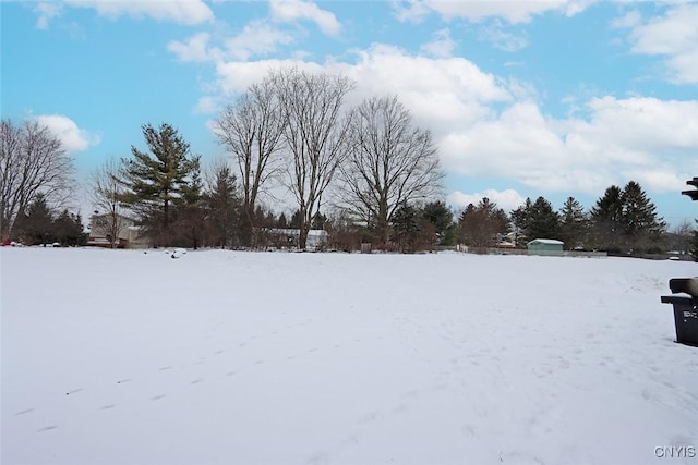 view of snowy yard