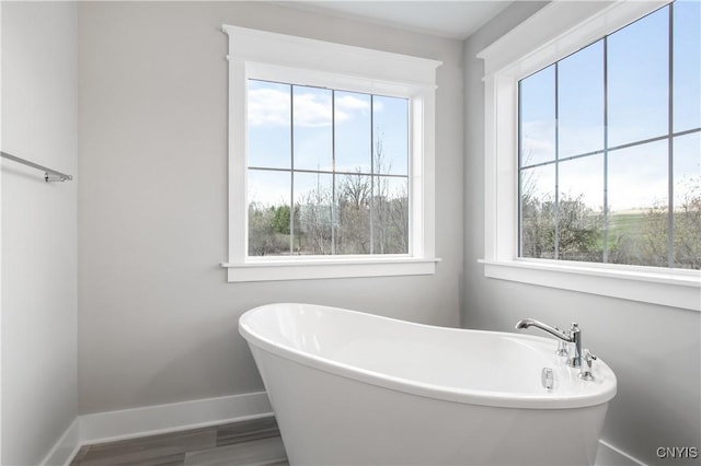 bathroom with hardwood / wood-style floors and a bathtub