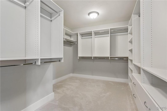 spacious closet featuring light colored carpet