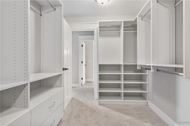 spacious closet featuring light colored carpet