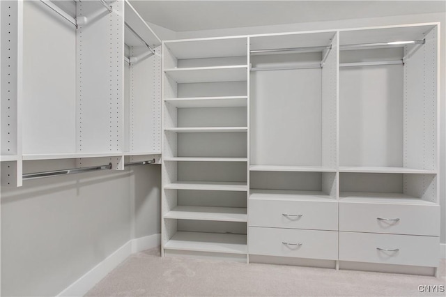 walk in closet featuring light colored carpet