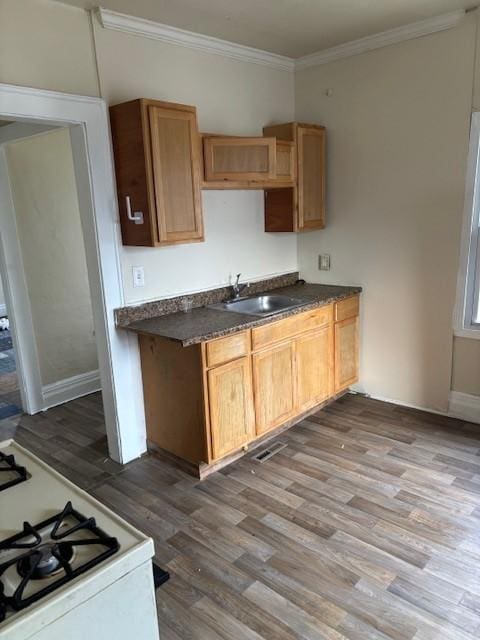 kitchen with sink, crown molding, wood-type flooring, and white gas stove