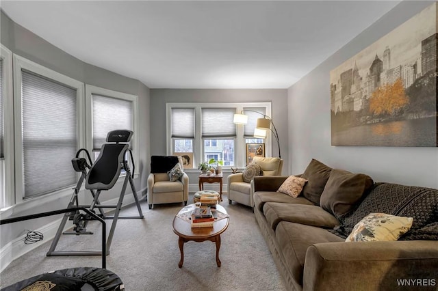 living room with light carpet