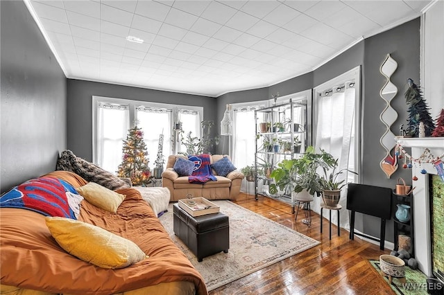 living room featuring dark hardwood / wood-style flooring and crown molding