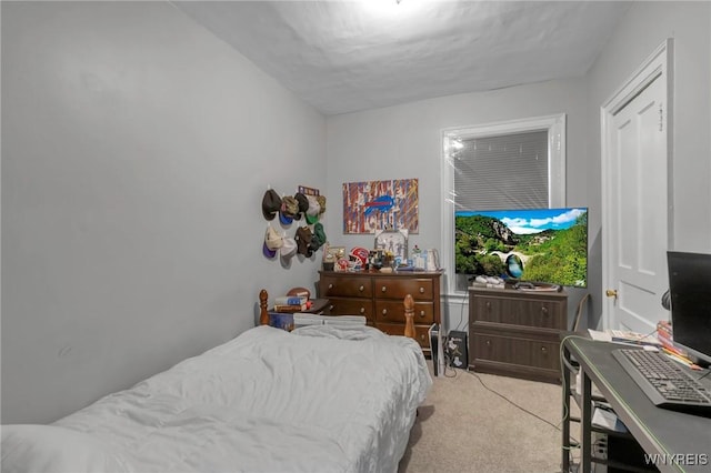 bedroom with light colored carpet