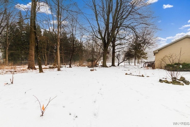 view of yard layered in snow