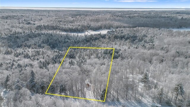 223 Lewis Rd, Constantia, NY 13044 - photo 22