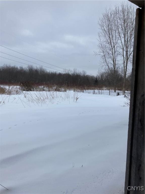 view of snowy yard