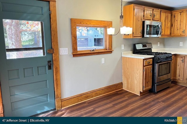 kitchen with dark hardwood / wood-style flooring, decorative light fixtures, plenty of natural light, and stainless steel appliances