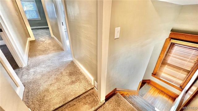 interior space featuring carpet floors, a baseboard radiator, and baseboards