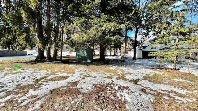 view of yard featuring an outdoor structure