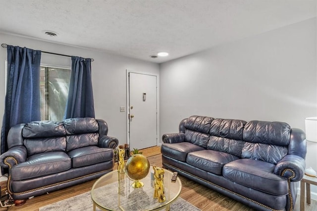 living room featuring wood-type flooring and a textured ceiling