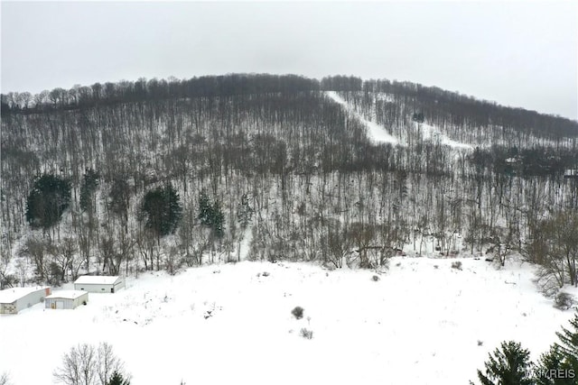 mountain view with a wooded view