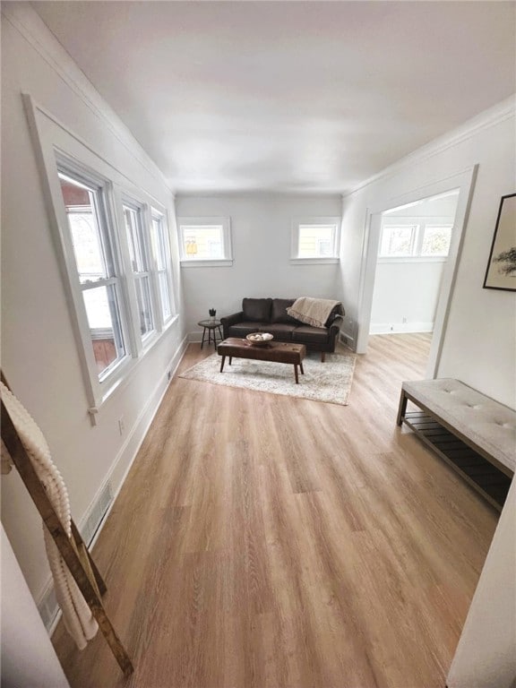 living room featuring ornamental molding and light hardwood / wood-style flooring