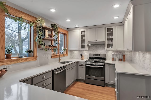 kitchen with sink, gray cabinetry, backsplash, light hardwood / wood-style floors, and stainless steel appliances