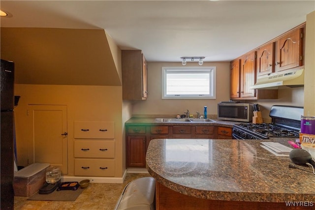 kitchen with stainless steel appliances, kitchen peninsula, and sink