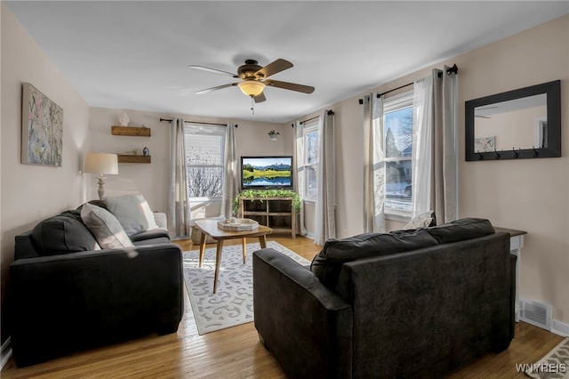 living room featuring ceiling fan, light hardwood / wood-style flooring, and a healthy amount of sunlight