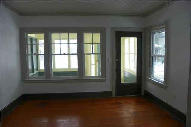 interior space featuring ornamental molding and dark hardwood / wood-style floors