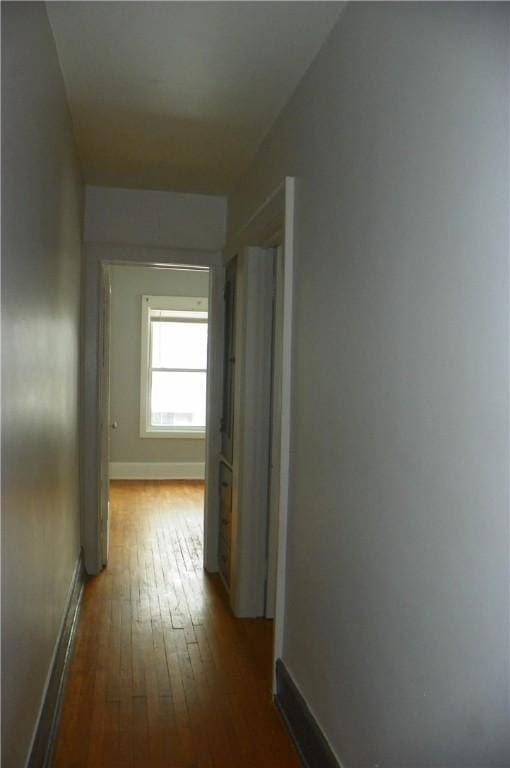 corridor with dark hardwood / wood-style floors