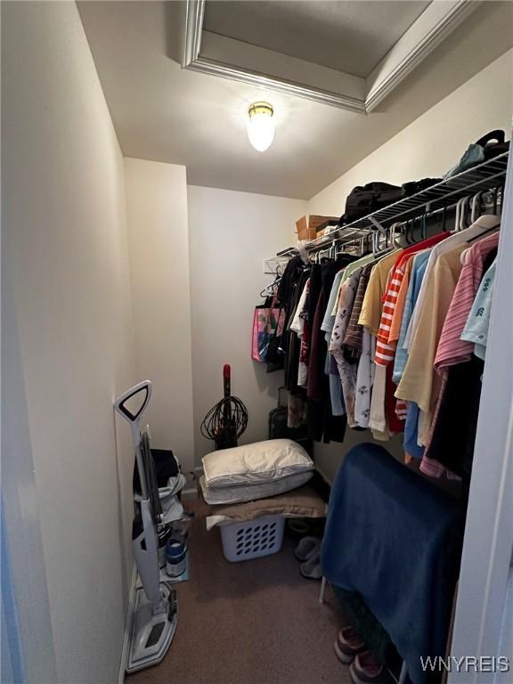 spacious closet with carpet flooring