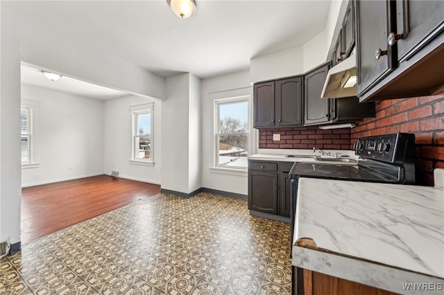 kitchen with dark brown cabinetry and sink