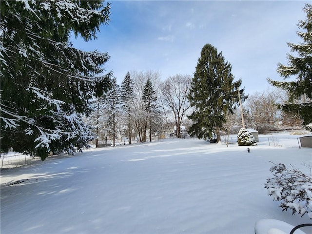 view of yard layered in snow