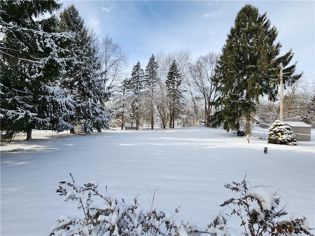 view of snowy yard