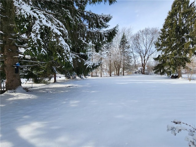 view of yard covered in snow