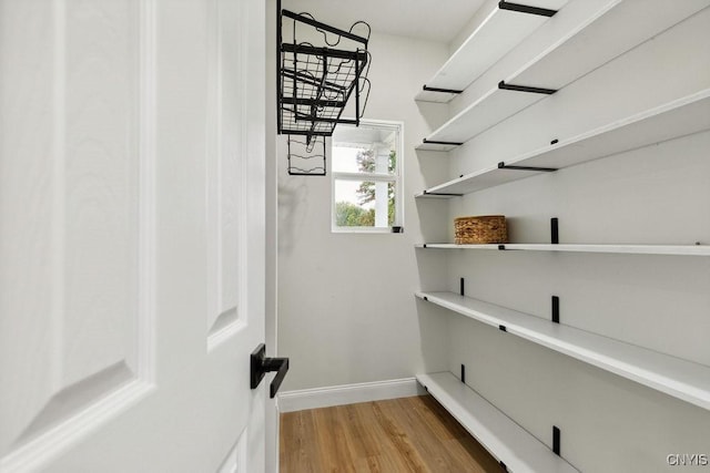 walk in closet with wood-type flooring