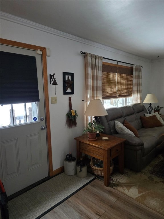 living room with ornamental molding and light hardwood / wood-style flooring