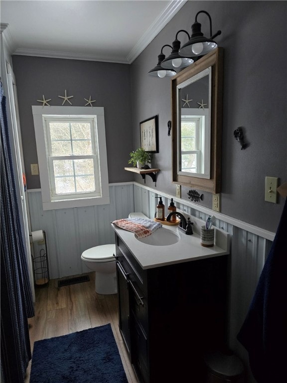 bathroom with vanity, plenty of natural light, wood-type flooring, and toilet