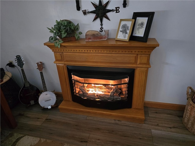 details featuring wood-type flooring and a multi sided fireplace