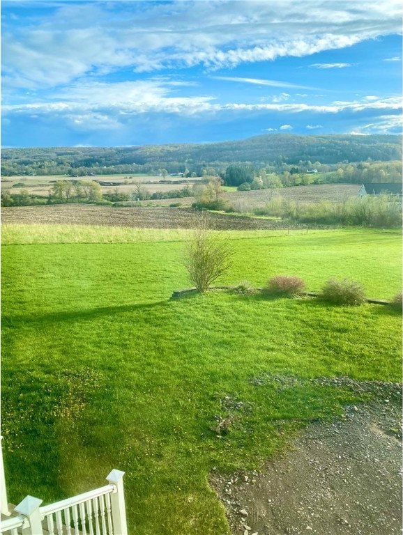 view of yard featuring a rural view