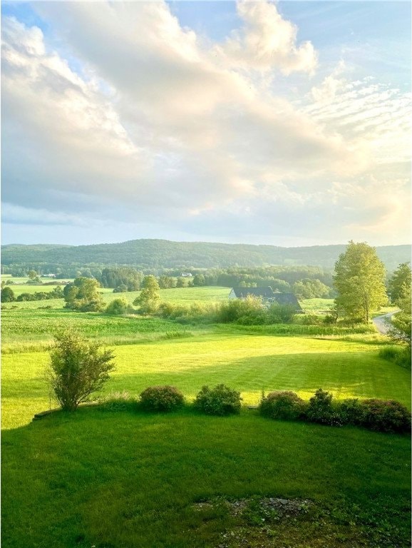 view of property's community with a rural view and a lawn