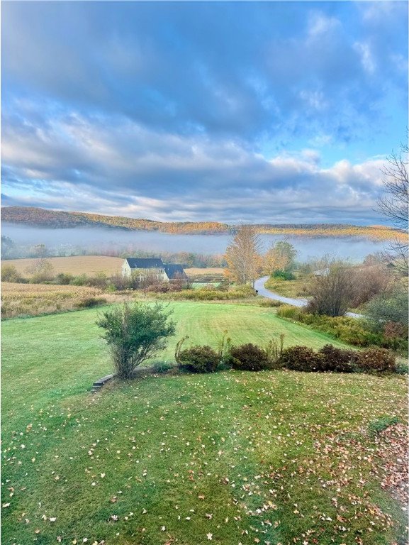 view of yard with a water view and a rural view