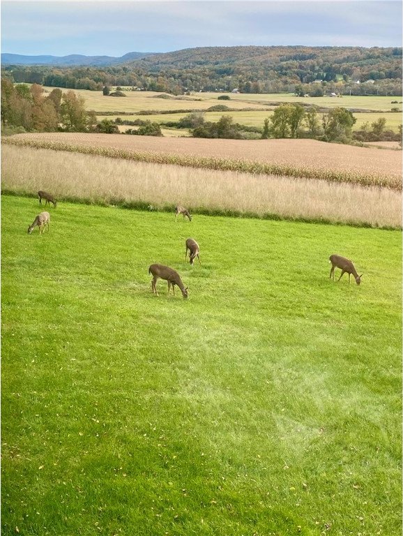 surrounding community with a yard and a rural view