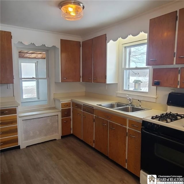 kitchen with sink, range with gas cooktop, ornamental molding, dark hardwood / wood-style floors, and radiator