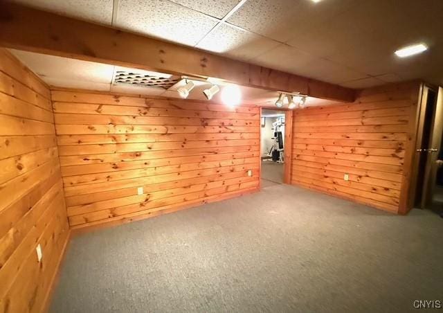 basement with carpet floors and wood walls