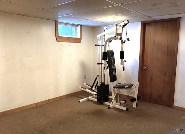 workout room featuring a drop ceiling and carpet