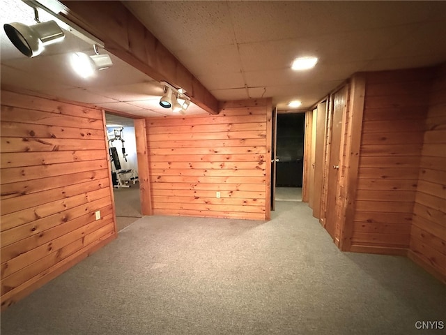 basement with wooden walls and carpet floors