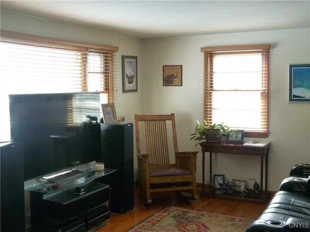 living room with hardwood / wood-style floors and plenty of natural light