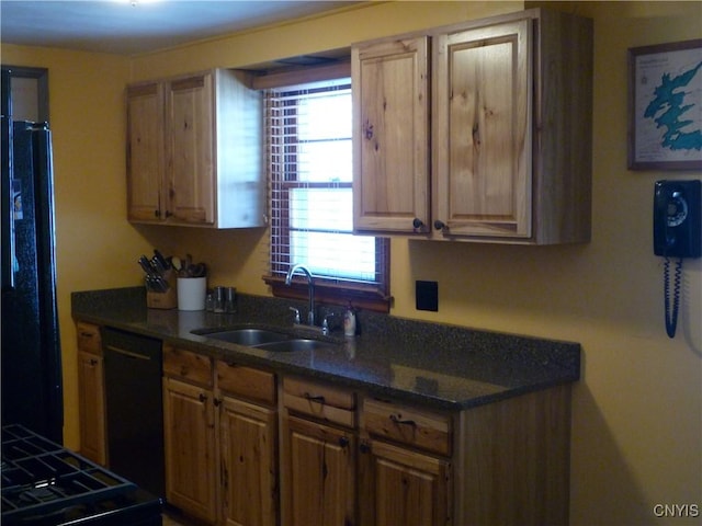 kitchen with sink and black appliances